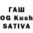 Cannafood конопля RAVIL MIAMISEV
