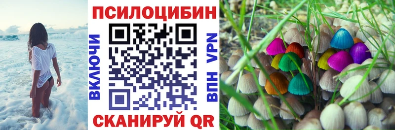 Псилоцибиновые грибы ЛСД  мориарти телеграм  Невинномысск 